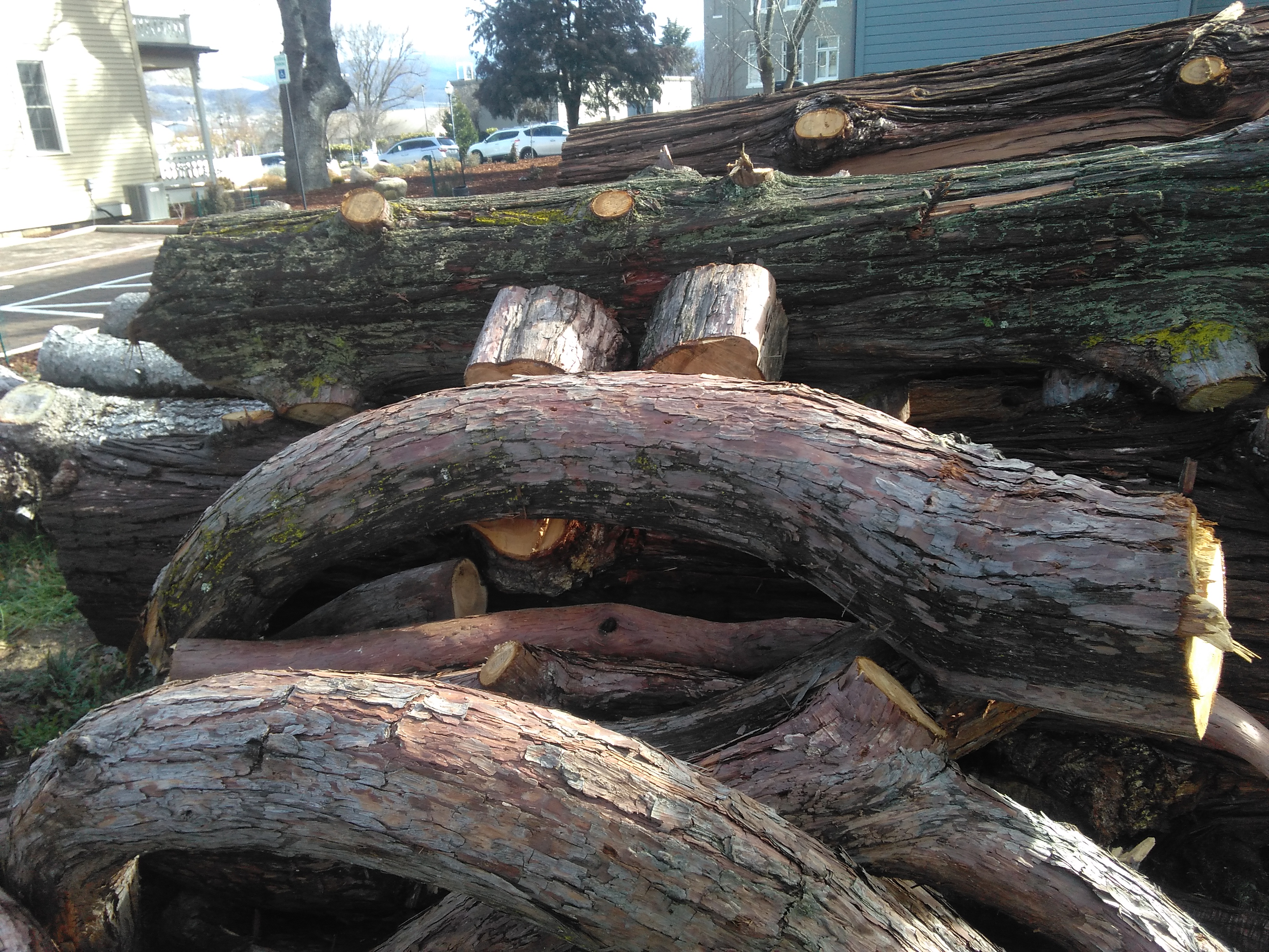 Rock Garden Bridge Log