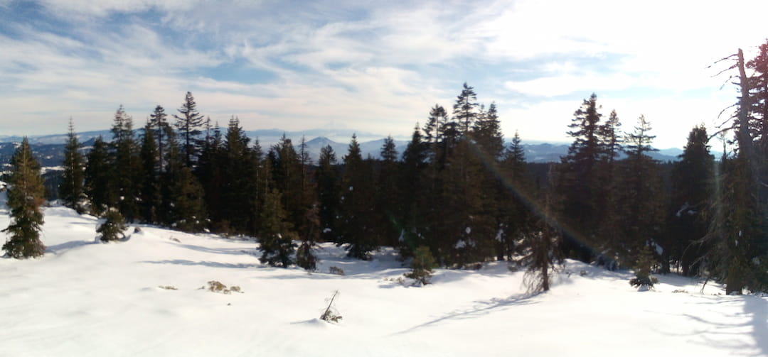 Shasta View Below the Knoll Mt Ashland